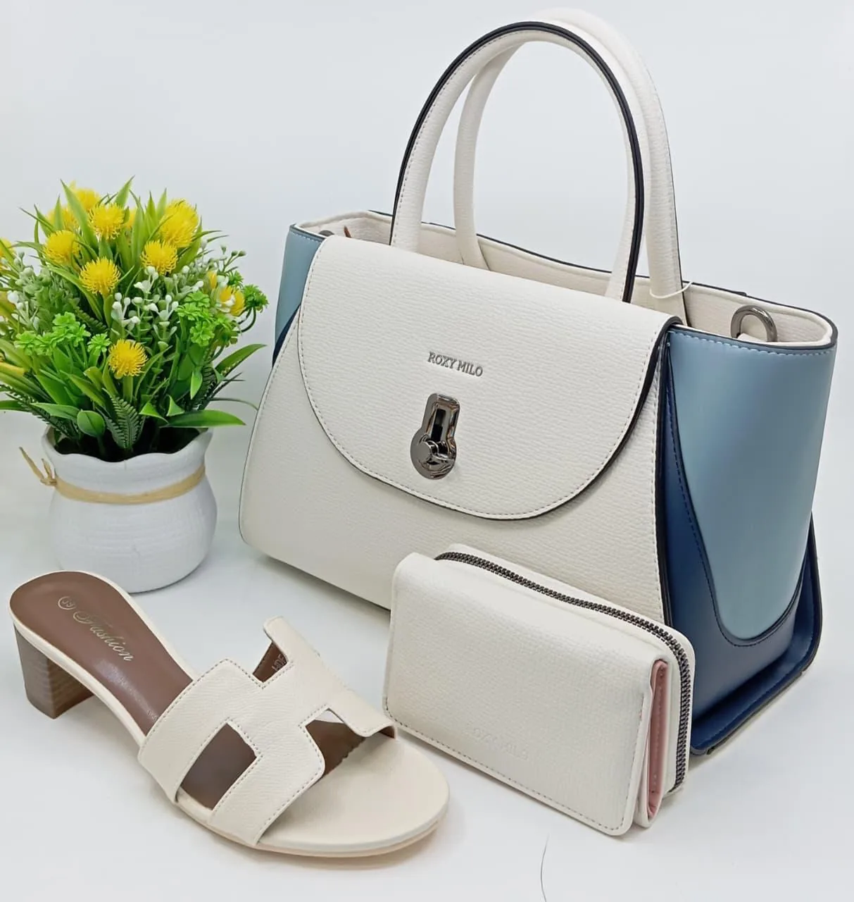 Ensemble de sac à main et chaussures